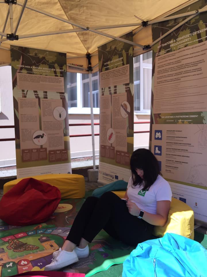 energiahatékonysági nap 13